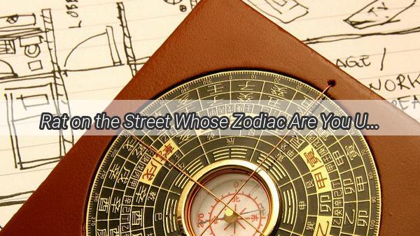 Rat on the Street Whose Zodiac Are You Unveiling the Mysteries of the Chinese Zodiac